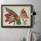 Amaryllis Splendor I Premium Framed Canvas- Ready to Hang