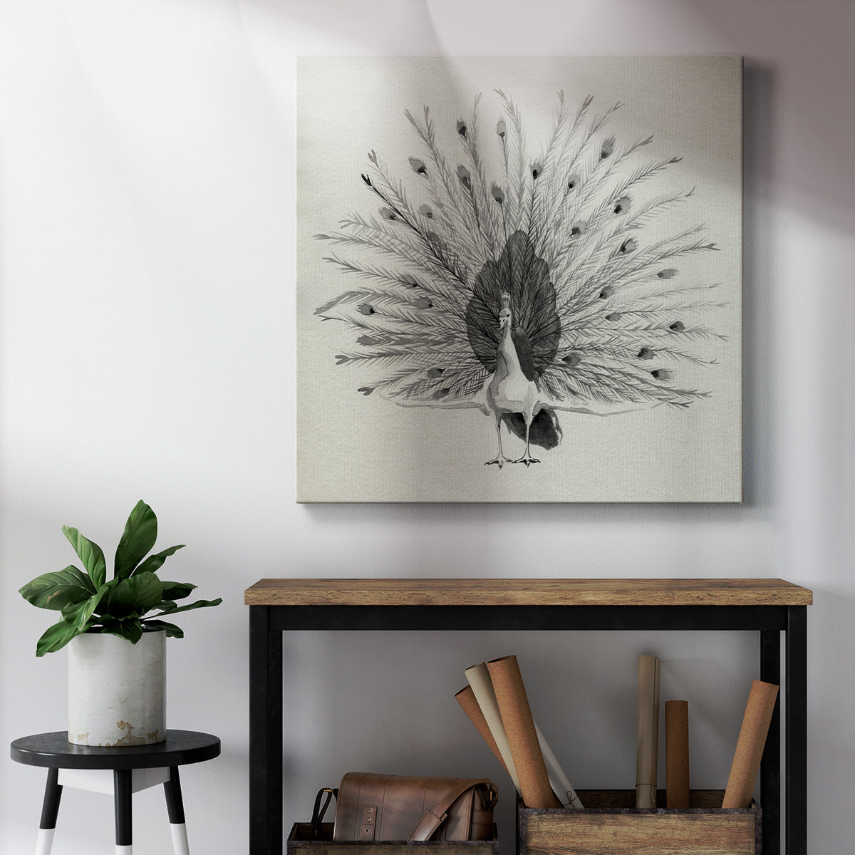 Ebony Plumed Peacock II - Canvas Art Print