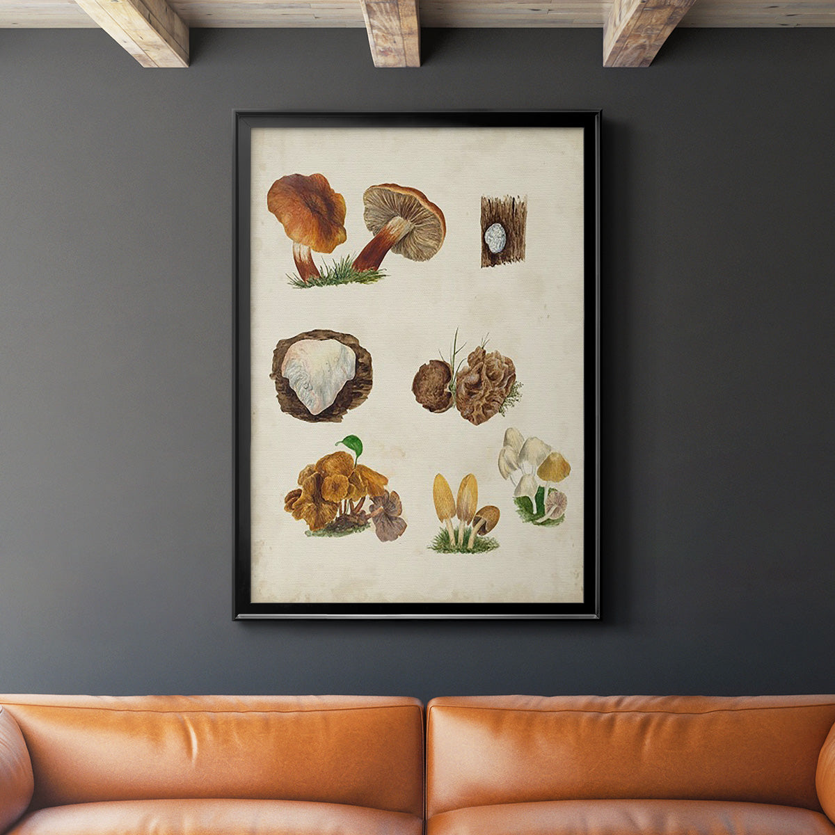 Mushroom Species I - Modern Framed Canvas Print