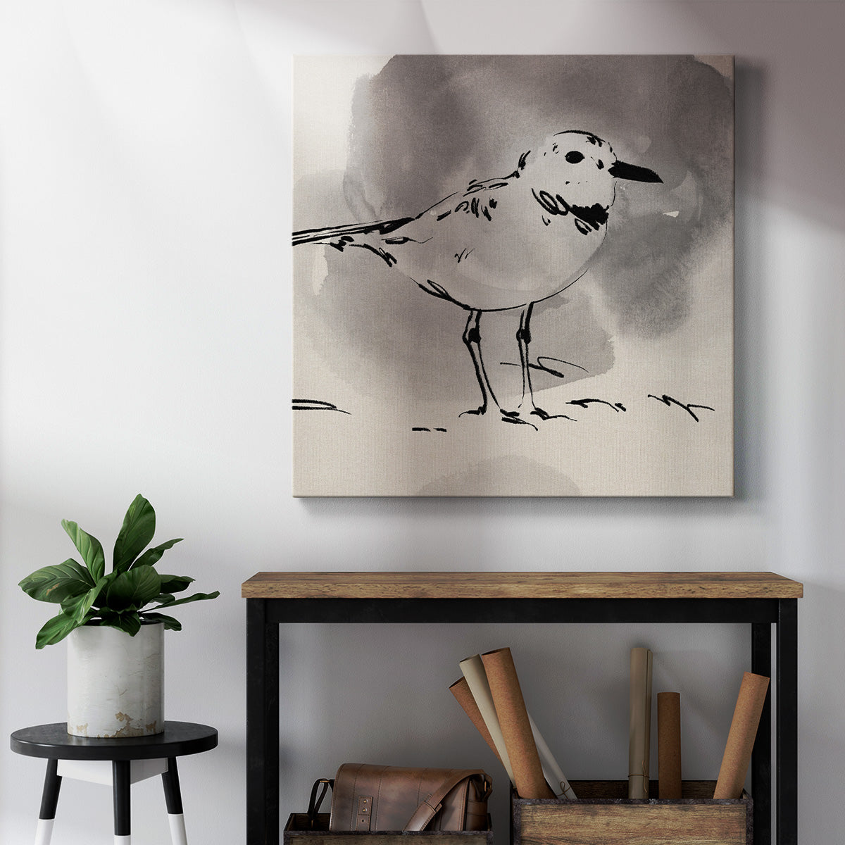 Inky Plover III - Canvas Art Print