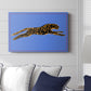 The Wild Leopard II - Canvas Art Print