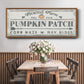 Pumpkin Patch II - Floater Framed Canvas Print