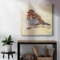 Bird Variety I-Premium Gallery Wrapped Canvas - Ready to Hang