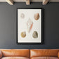 Pastel Knorr Shells IX - Modern Framed Canvas Print