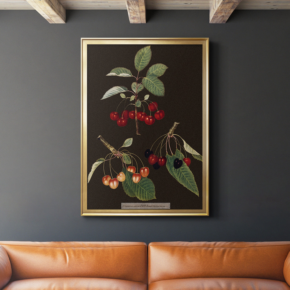 Brookshaw Cherries - Modern Framed Canvas Print