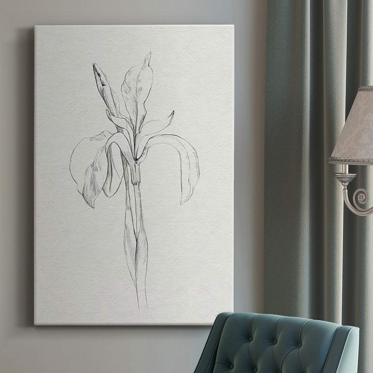 Neutral Iris Sketch II - Canvas Art Print