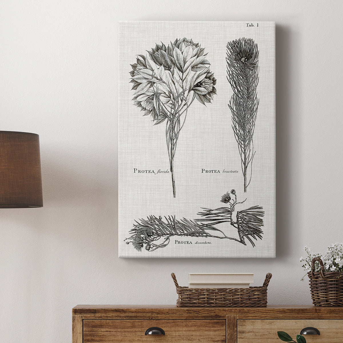 Black & White Protea on Linen I - Canvas Art Print