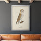 French Owls VI - Modern Framed Canvas Print