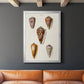 Cone Shell Collection VI - Modern Framed Canvas Print