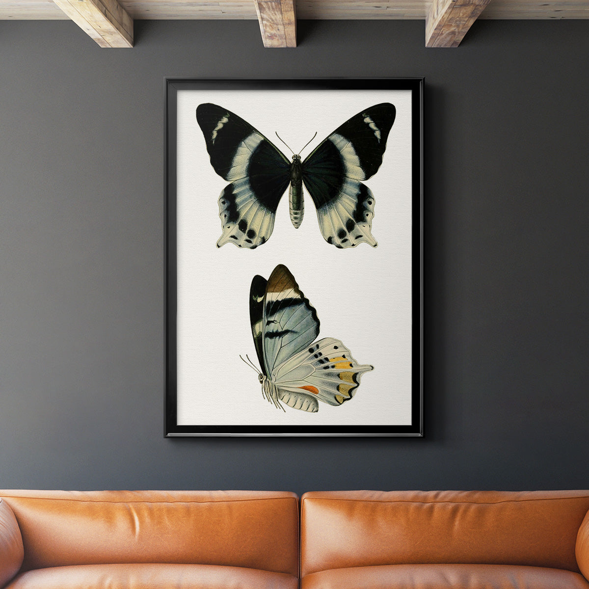 Antique Blue Butterflies I - Modern Framed Canvas Print