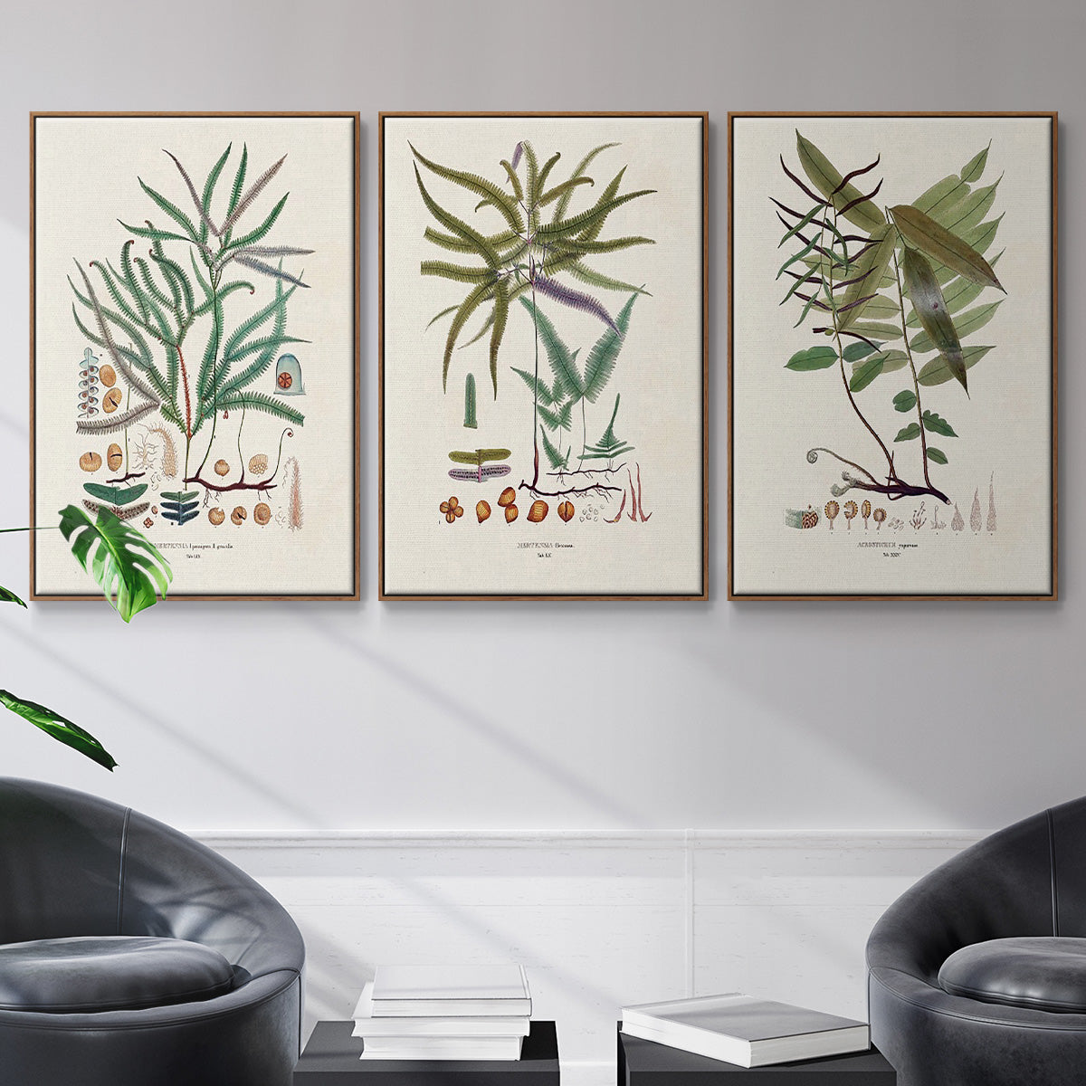 Botanical Society Ferns VI - Framed Premium Gallery Wrapped Canvas L Frame 3 Piece Set - Ready to Hang