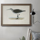 Morris Sandpipers VI Premium Framed Canvas- Ready to Hang