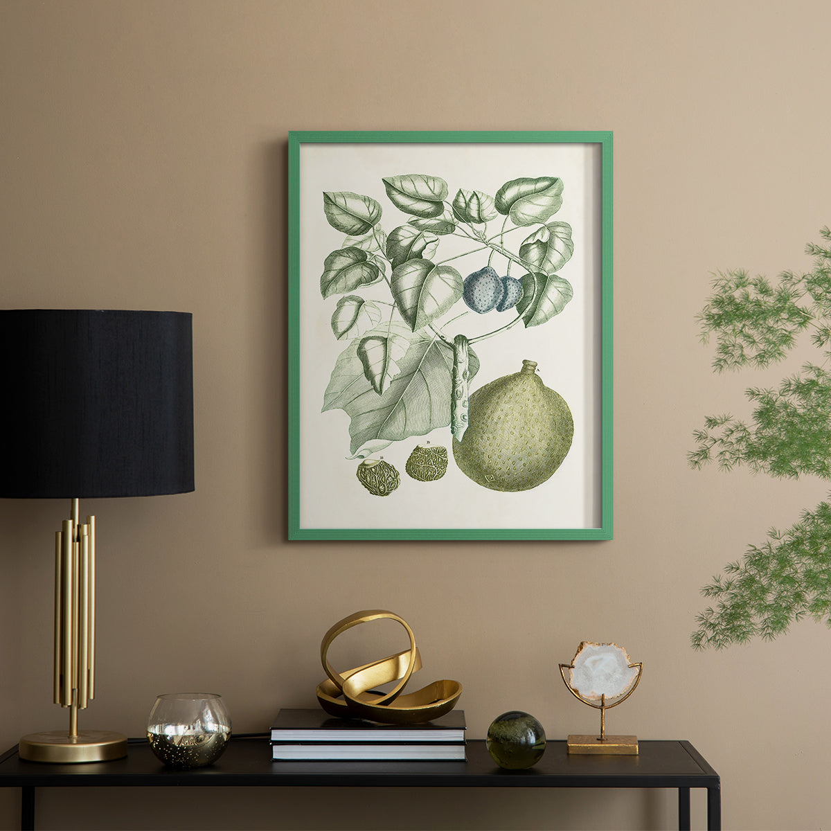 Buchoz Tropicals VIII - Restickable Framed Art Print