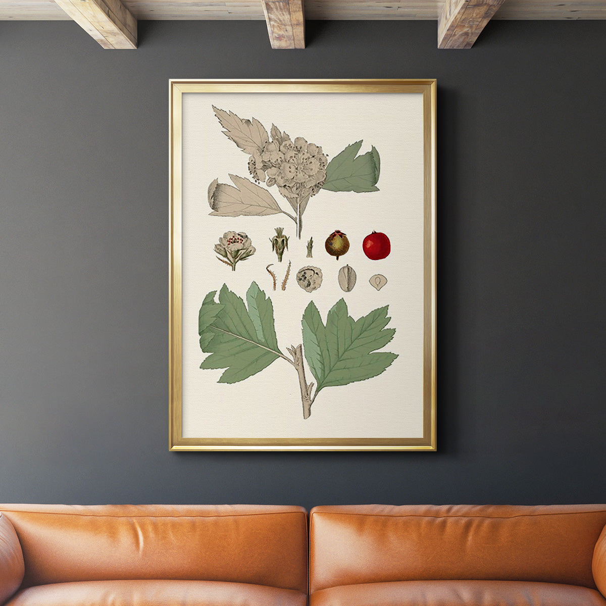 Leaves & Berries IV - Modern Framed Canvas Print