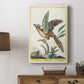 Spotted Andalusian Cuckoo, 1771-1775 - Canvas Art Print