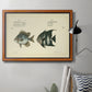 Bloch Antique Fish II Premium Framed Canvas- Ready to Hang