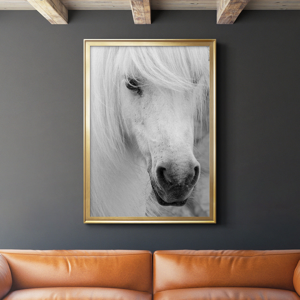 Island Pony I - Modern Framed Canvas Print