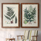 Set of two maple barnwood framed canvas prints depicting two natural-history fern plates featuring vintage fern specimens with botanical details above a sideboard in a cozy sitting room.