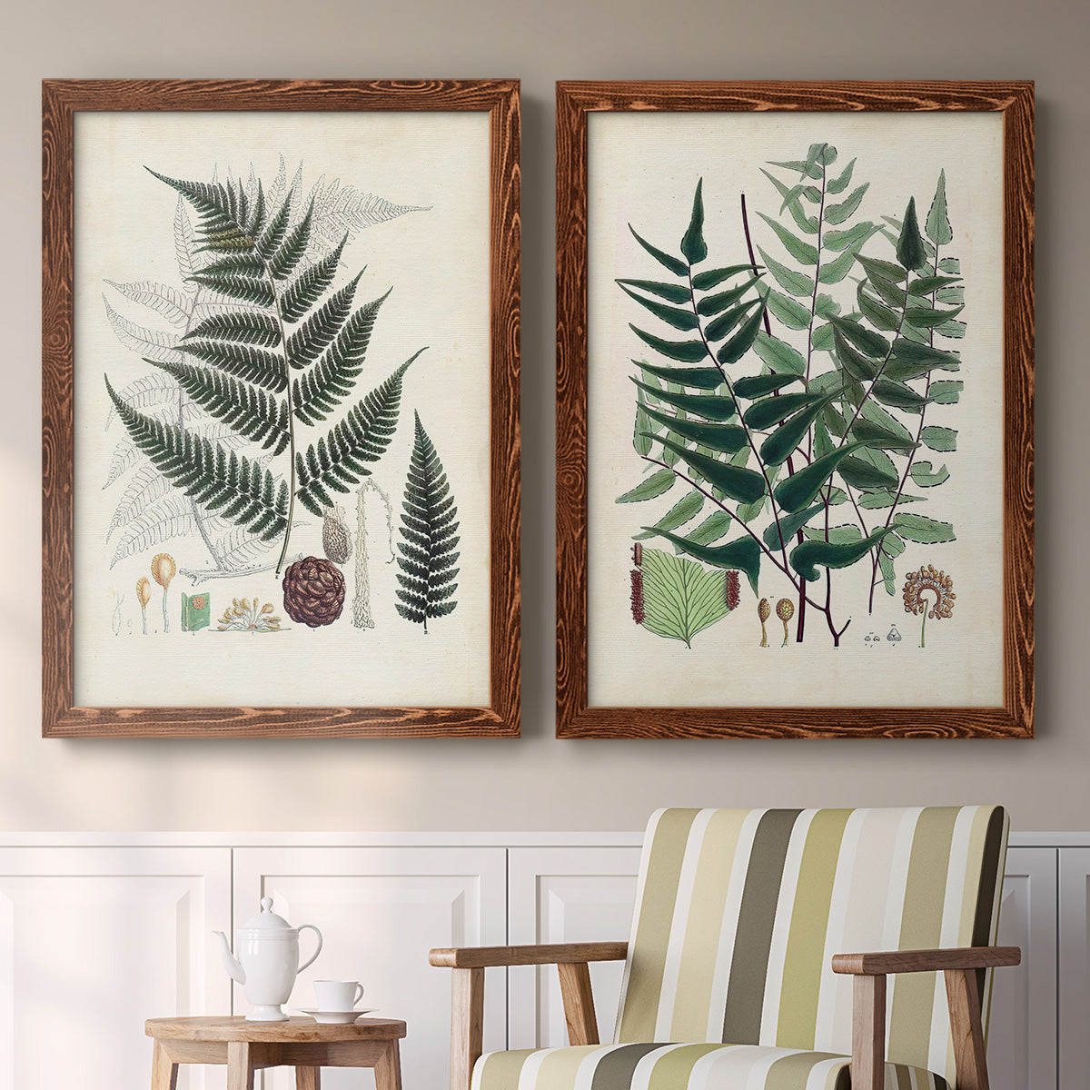 Set of two maple barnwood framed canvas prints depicting two natural-history fern plates featuring vintage fern specimens with botanical details above a sideboard in a cozy sitting room.