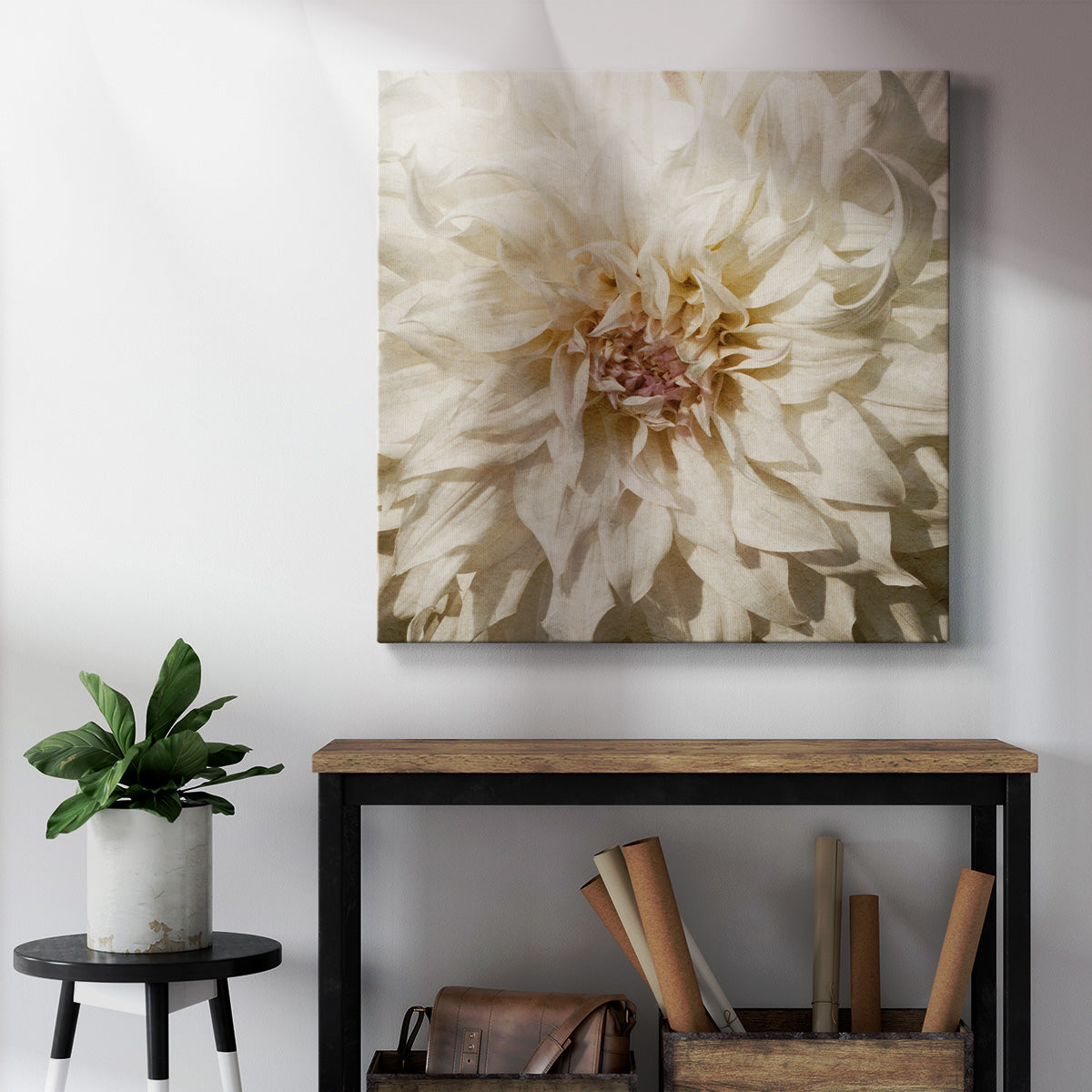 Wall Flower VIII-Premium Gallery Wrapped Canvas - Ready to Hang