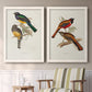 Elegant Trogons III - Premium Framed Canvas 2 Piece Set - Ready to Hang