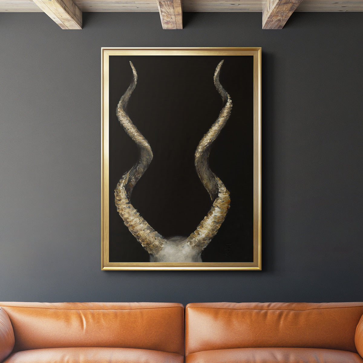 Spiral Antelope Horns -  Framed Canvas Print