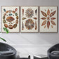 Spiral Shell Formation I - Framed Premium Gallery Wrapped Canvas L Frame 3 Piece Set - Ready to Hang