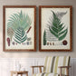 Set of two maple barnwood framed canvas prints depicting two natural-history fern plates featuring vintage fern specimens with botanical details above a sideboard in a cozy sitting room.