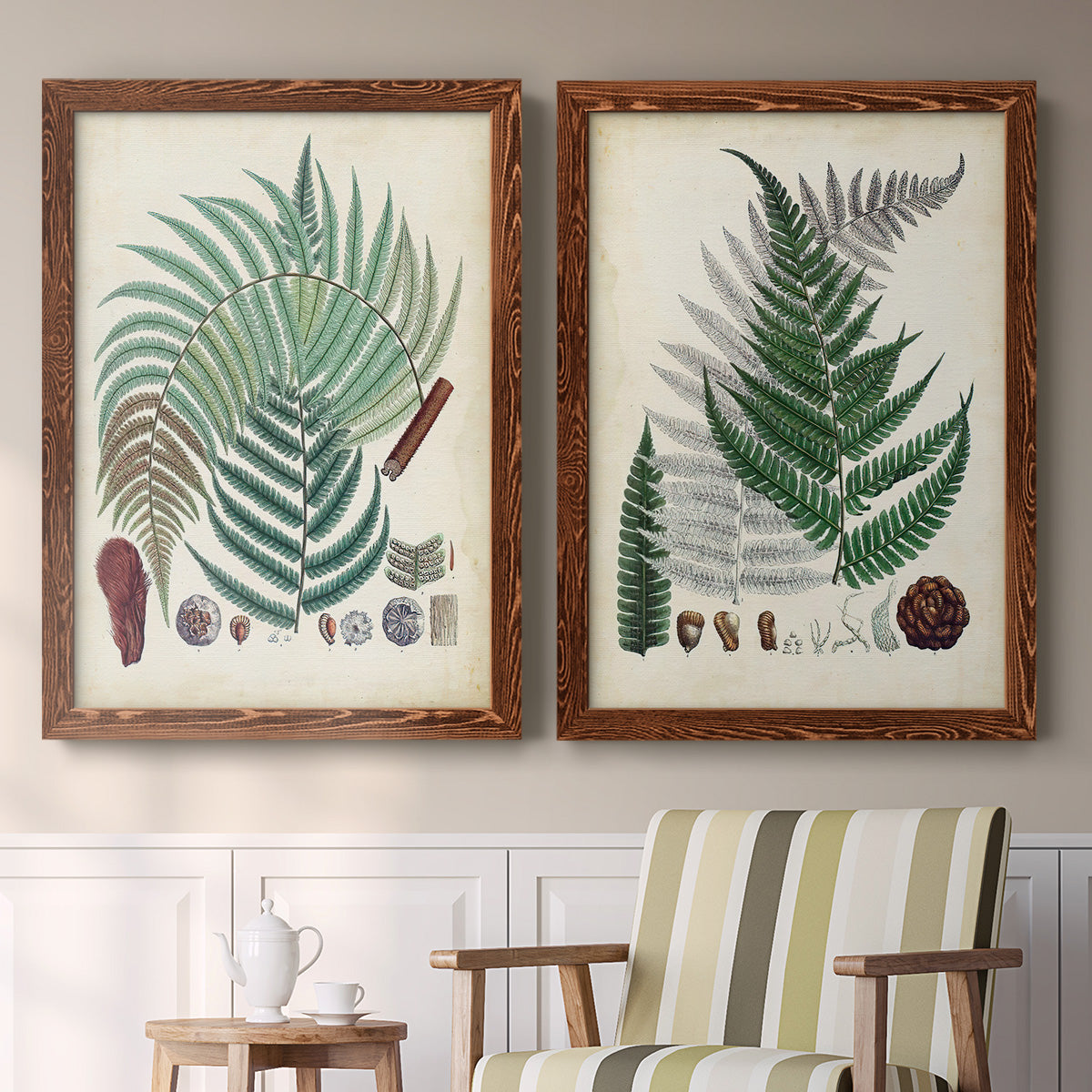 Set of two maple barnwood framed canvas prints depicting two natural-history fern plates featuring vintage fern specimens with botanical details above a sideboard in a cozy sitting room.