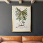 Botanical Society Ferns VI - Modern Framed Canvas Print