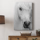 Island Pony I - Canvas Art Print