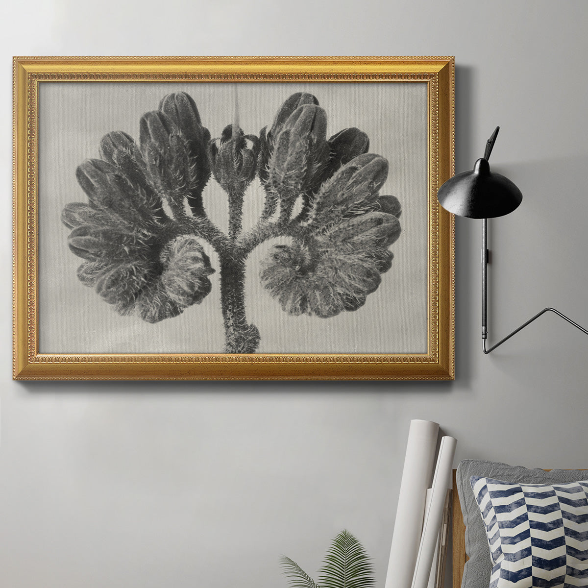 Blossfeldt Botanical VIII Premium Framed Canvas- Ready to Hang