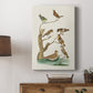 Antique Birds in Nature III - Canvas Art Print