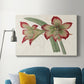 Amaryllis Varietals IV Premium Gallery Wrapped Canvas - Ready to Hang