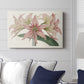 Amaryllis Varietals I - Canvas Art Print