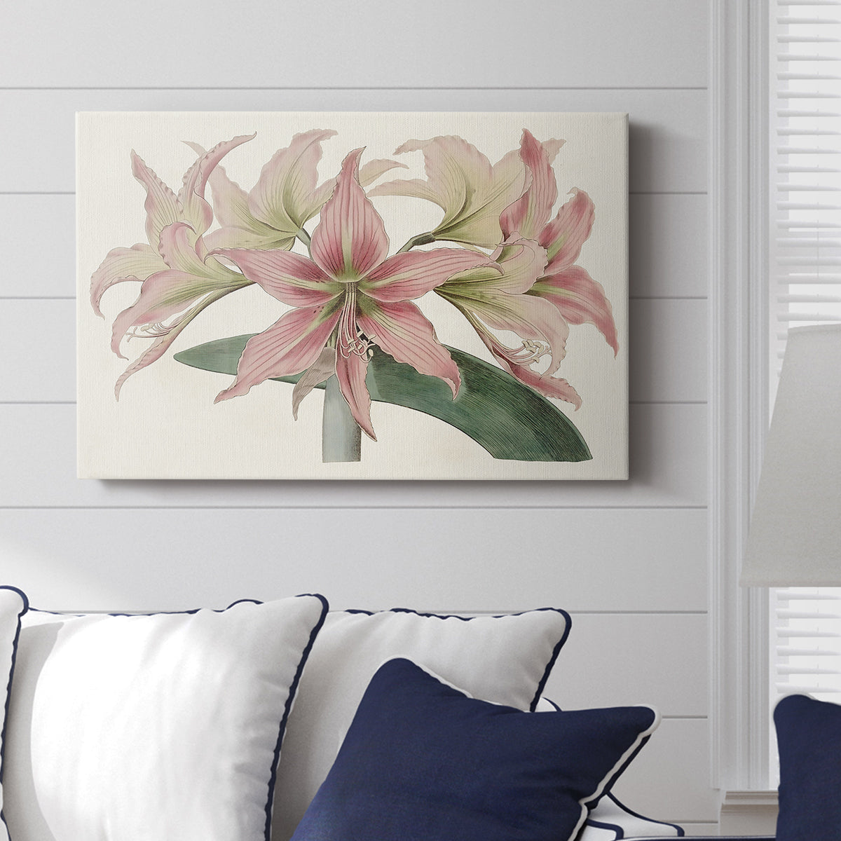 Amaryllis Varietals I - Canvas Art Print