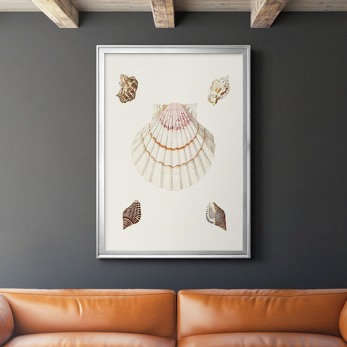 Pastel Knorr Shells IV - Modern Framed Canvas Print