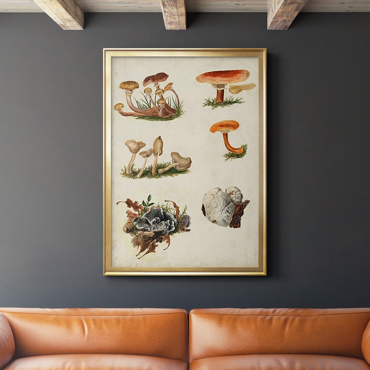 Mushroom Species X - Modern Framed Canvas Print