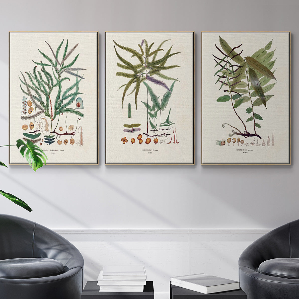 Botanical Society Ferns VI - Framed Premium Gallery Wrapped Canvas L Frame 3 Piece Set - Ready to Hang