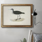 Morris Sandpipers VIII Premium Framed Canvas- Ready to Hang