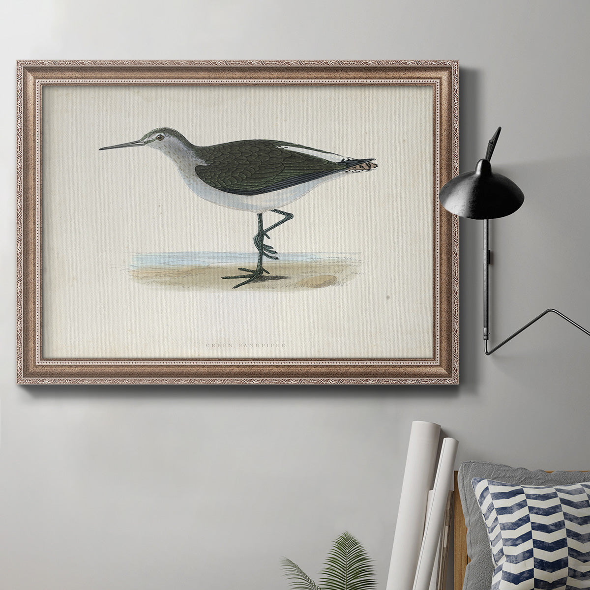 Morris Sandpipers VI Premium Framed Canvas- Ready to Hang