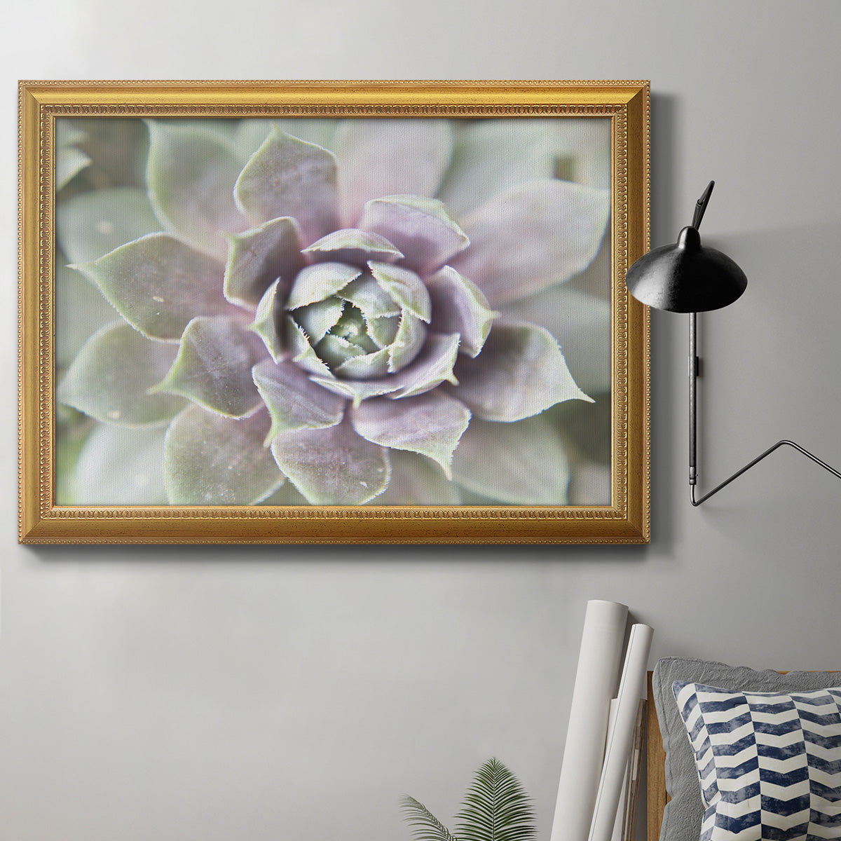 Succulent Glow II - Ornate Framed Canvas Print