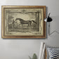 Distinguished Horses IV Premium Framed Canvas- Ready to Hang