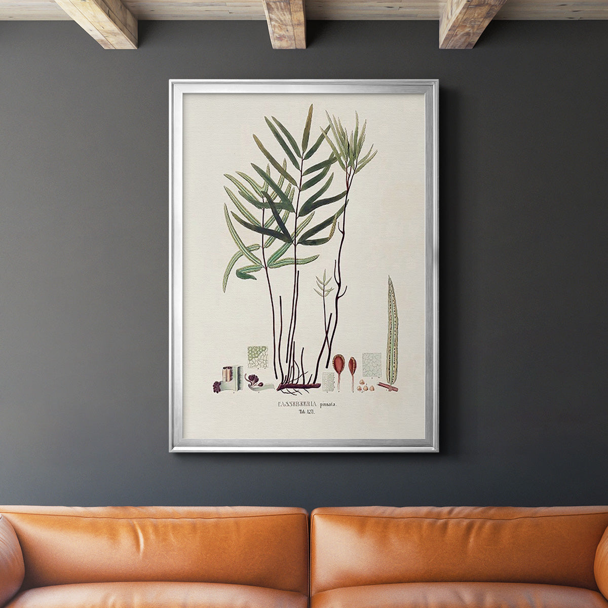 Botanical Society Ferns XI - Modern Framed Canvas Print