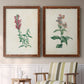 Set of two maple barnwood framed canvas prints depicting two vintage botanical studies of flowering stems with detailed green leaves on aged cream paper above a sideboard in a cozy sitting room.