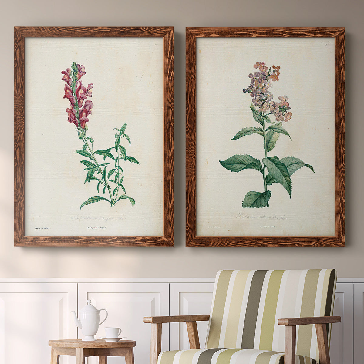 Set of two maple barnwood framed canvas prints depicting two vintage botanical studies of flowering stems with detailed green leaves on aged cream paper above a sideboard in a cozy sitting room.
