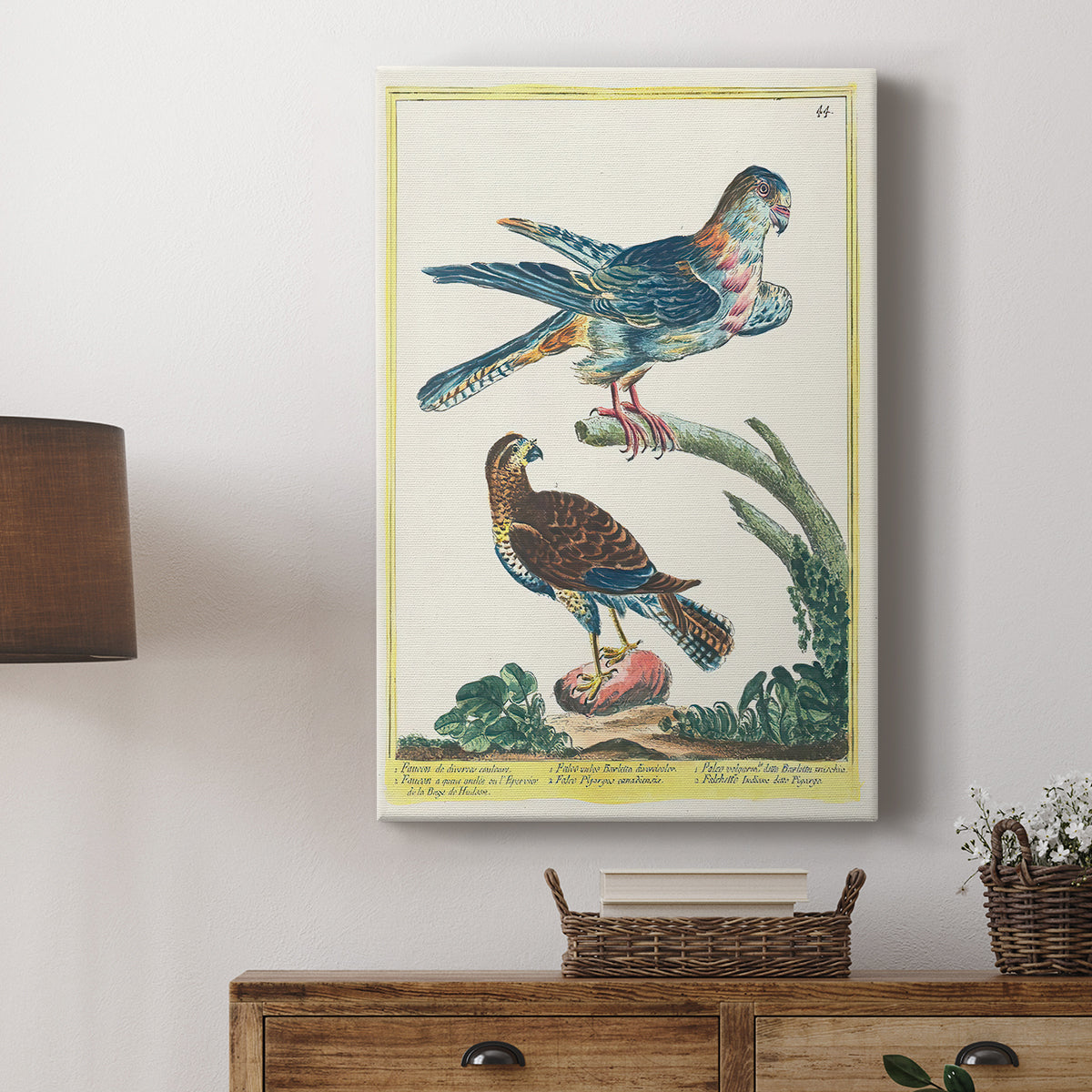 Falcons, 1771-1775 - Canvas Art Print