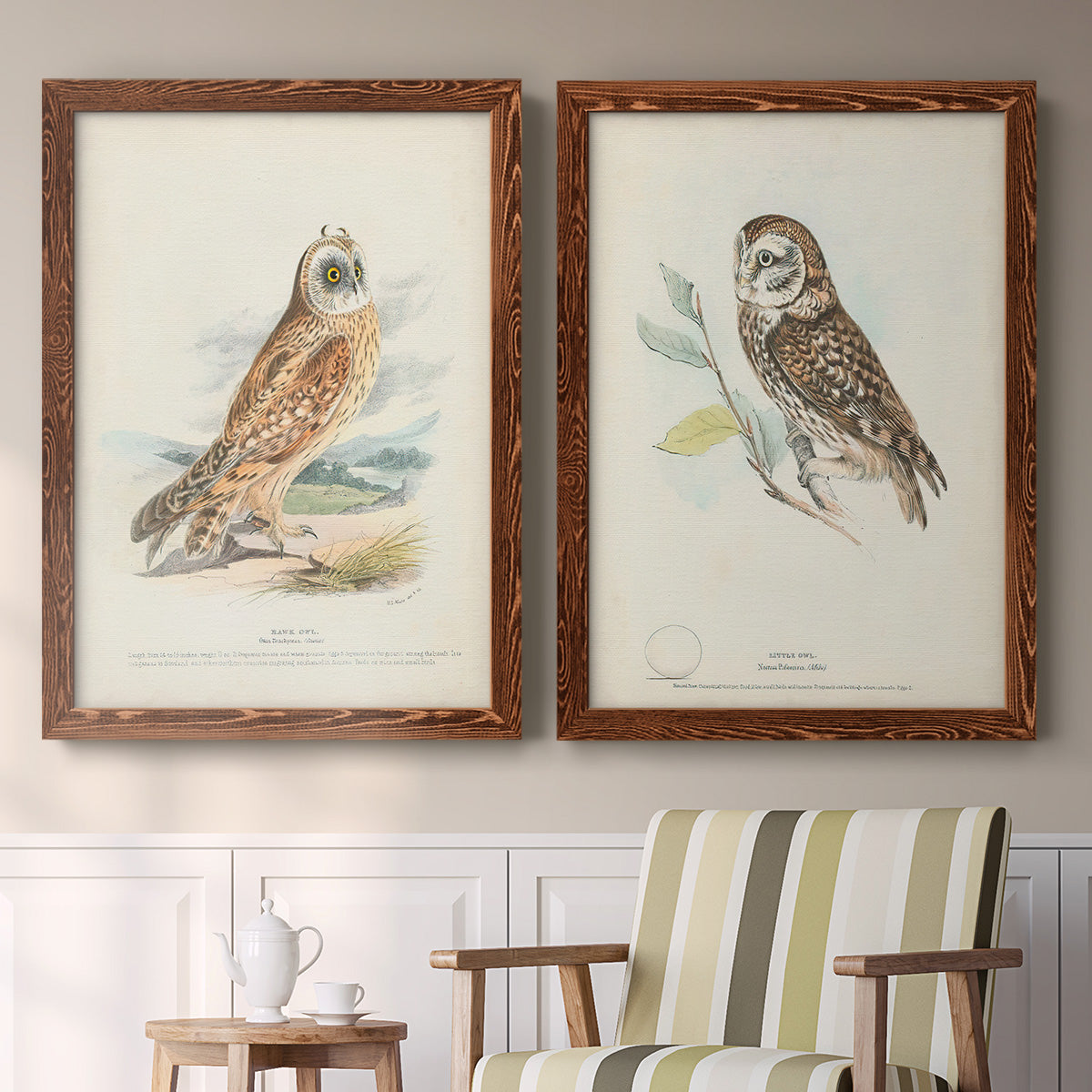 Hawk Owl - Premium Framed Canvas 2 Piece Set - Ready to Hang