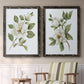 Magnolia Morning I - Premium Framed Canvas 2 Piece Set - Ready to Hang