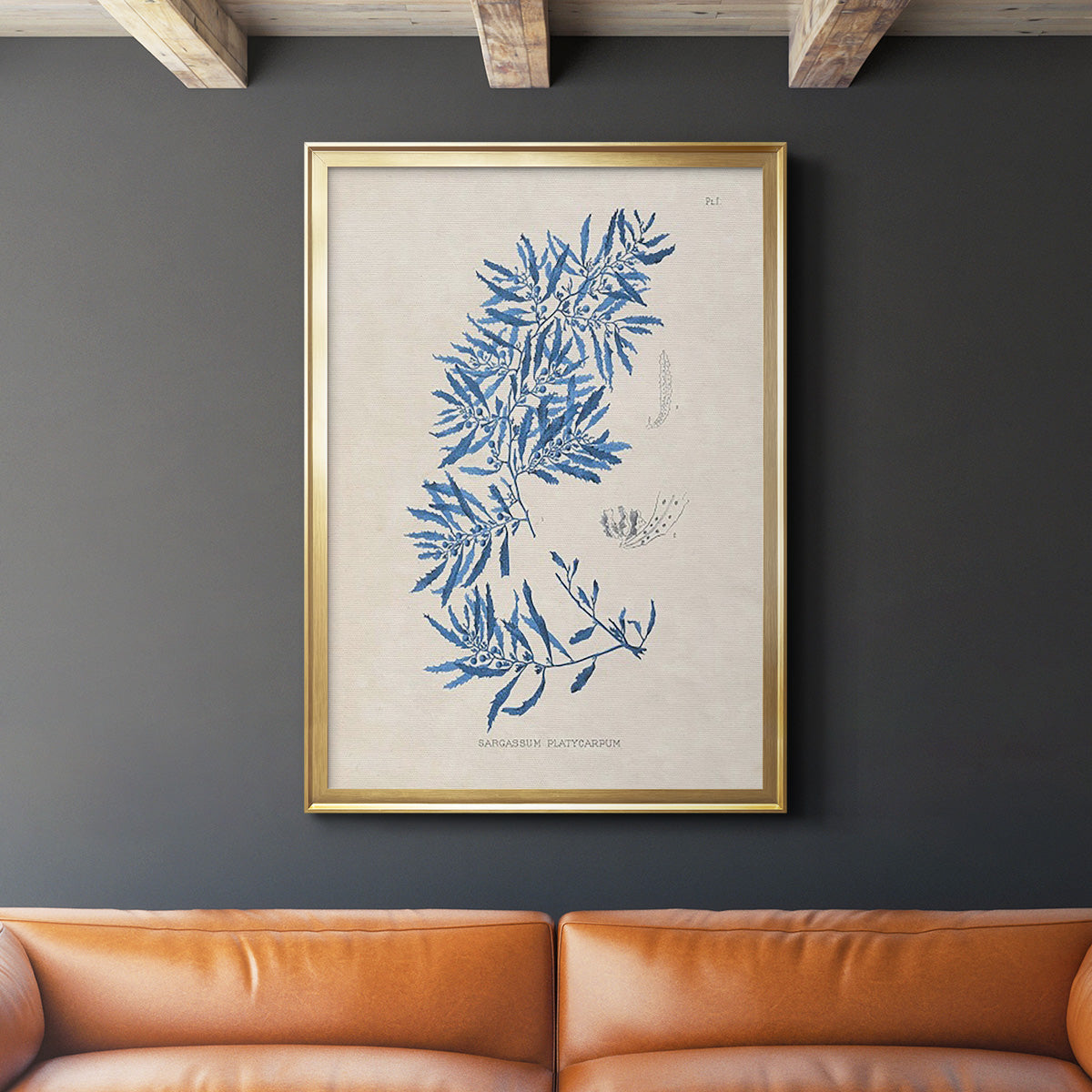 Blue Marine Algae III - Modern Framed Canvas Print